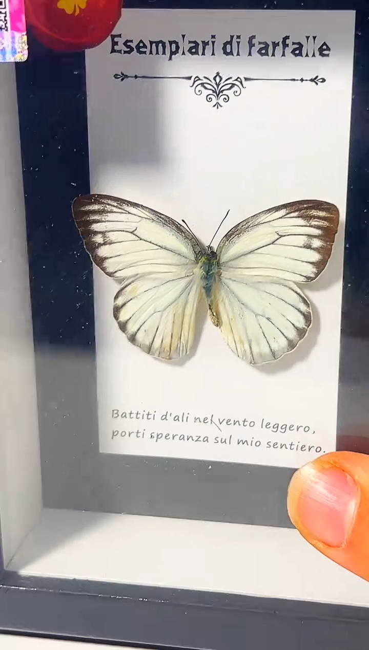 有机玻璃3516894561