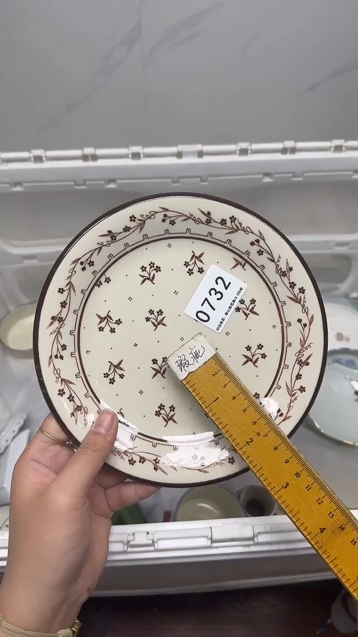 【闪购商品】732回流瓷器默认微瑕，18.8包邮