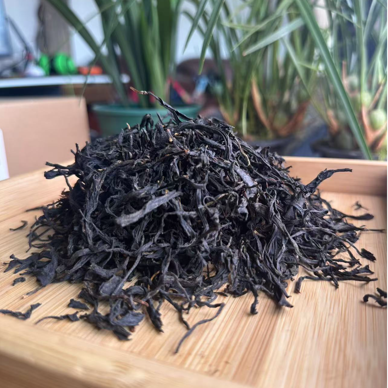 【阿贤推荐】云南安乐古树红 白 生 荒野白茶 生茶 红茶茶样