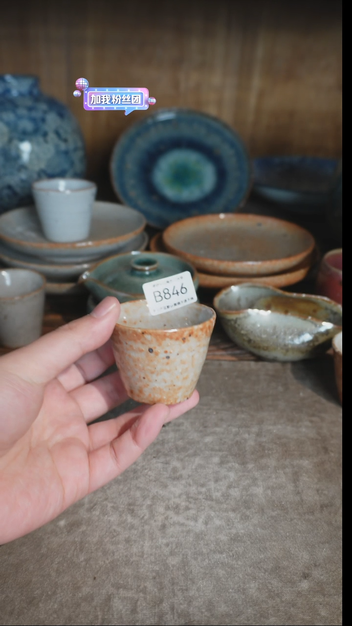 【闪购商品】B846号拍品，一物一拍