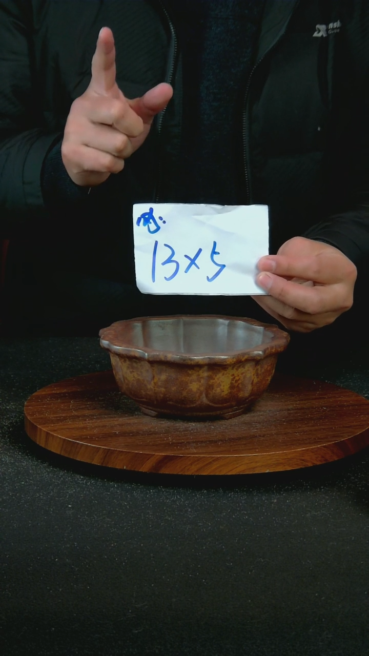 【闪购商品】紫砂C9