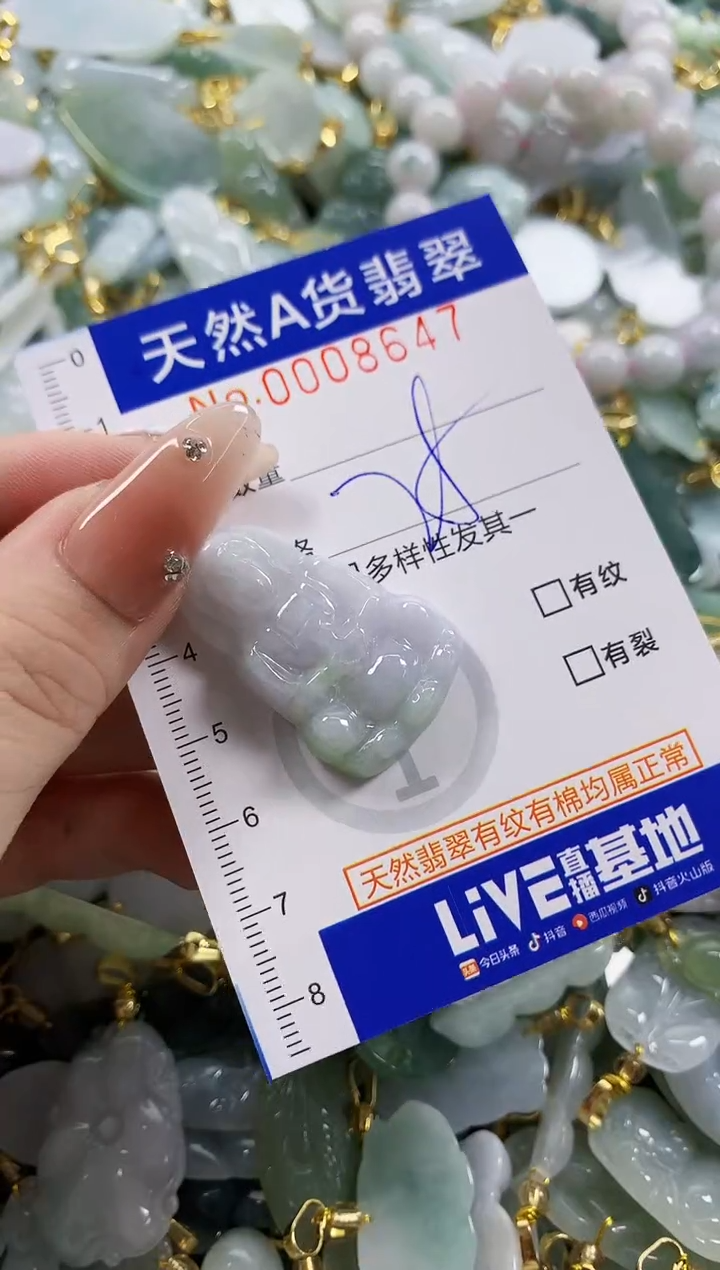 颈饰未镶嵌翡翠天然A货翡翠
