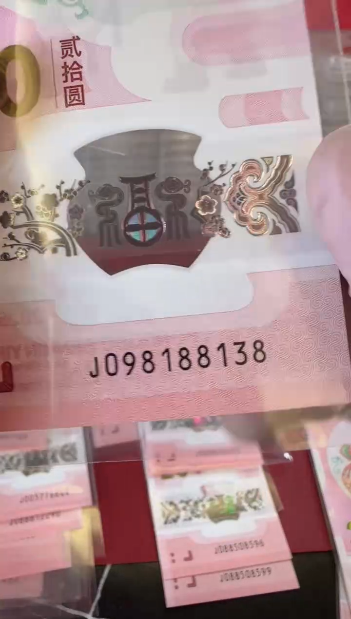 【闪购商品】塑料2025蛇钞单张裸098188138