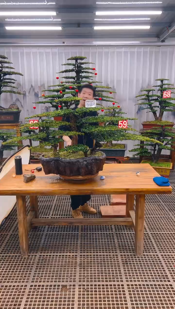 【闪购商品】紫砂精品盆景直播间一物一拍