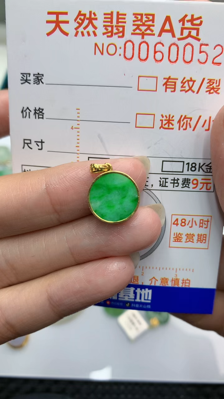 【闪购商品】翡翠颈饰18K金镶嵌            8