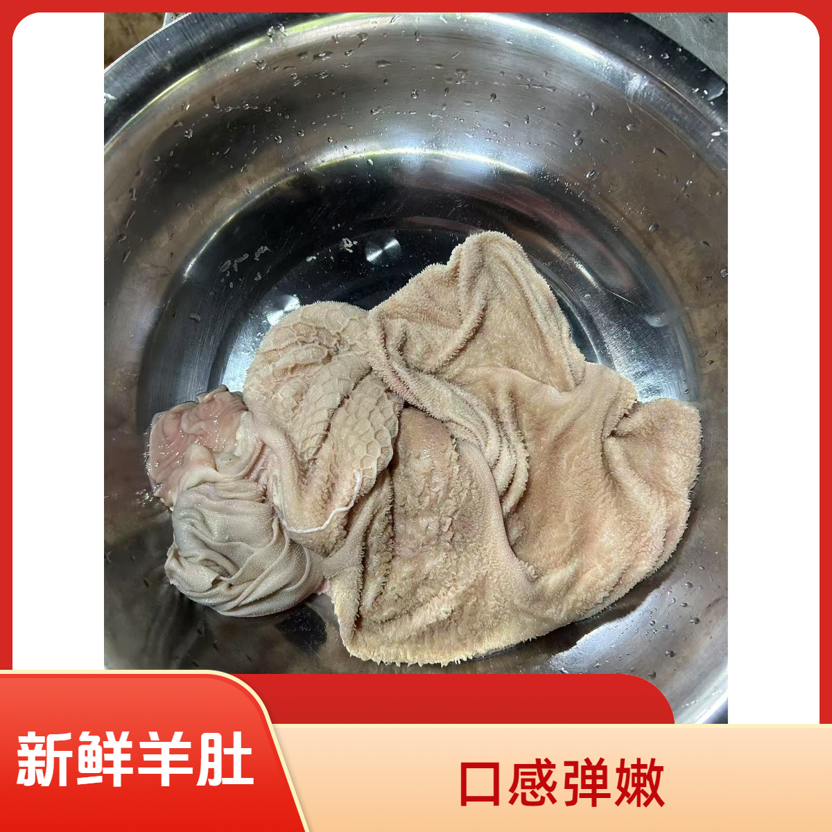 羊肚（直播现称）广西黑山羊肉新鲜现杀现卖本地散养带皮带骨山羊肉