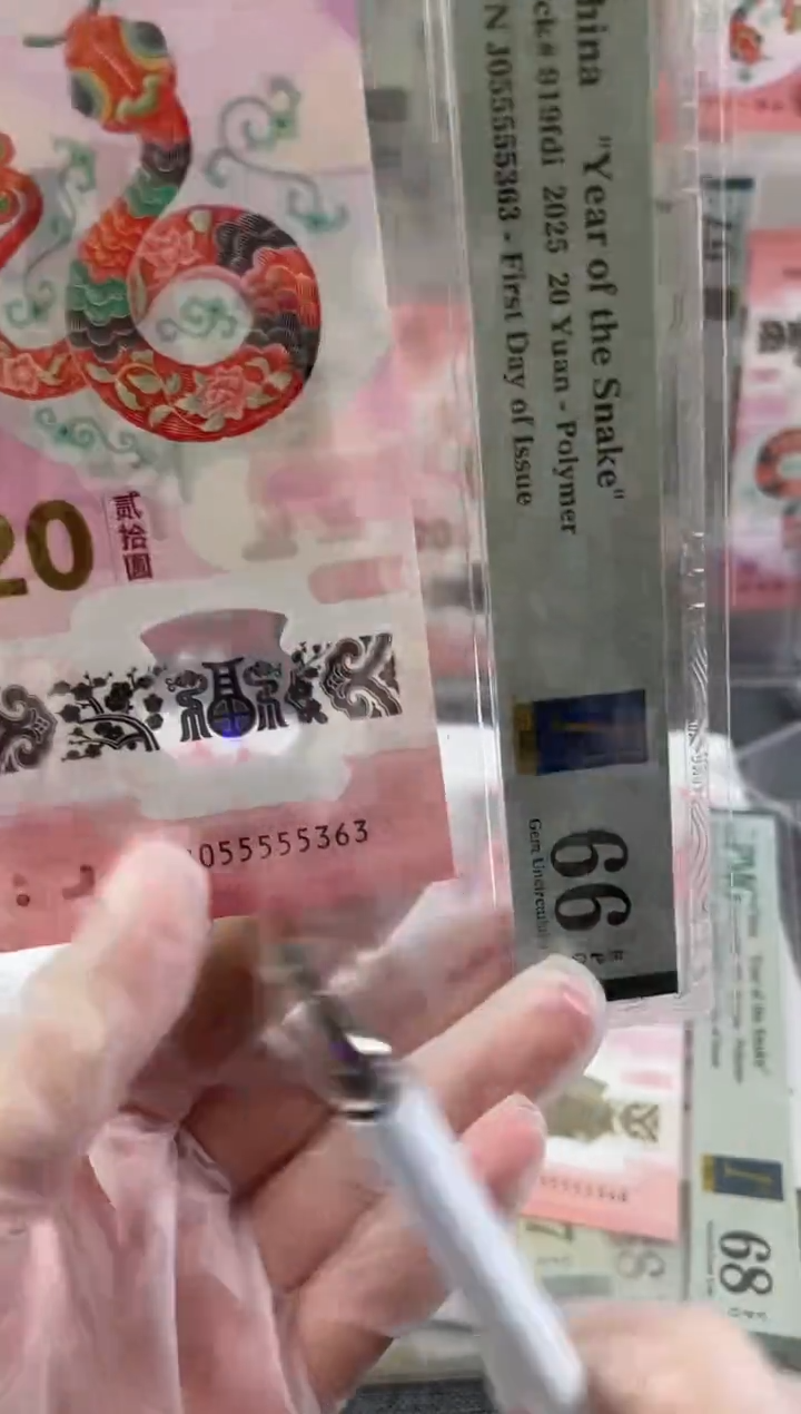 【闪购商品】塑料PMG蛇钞5个5头尾363