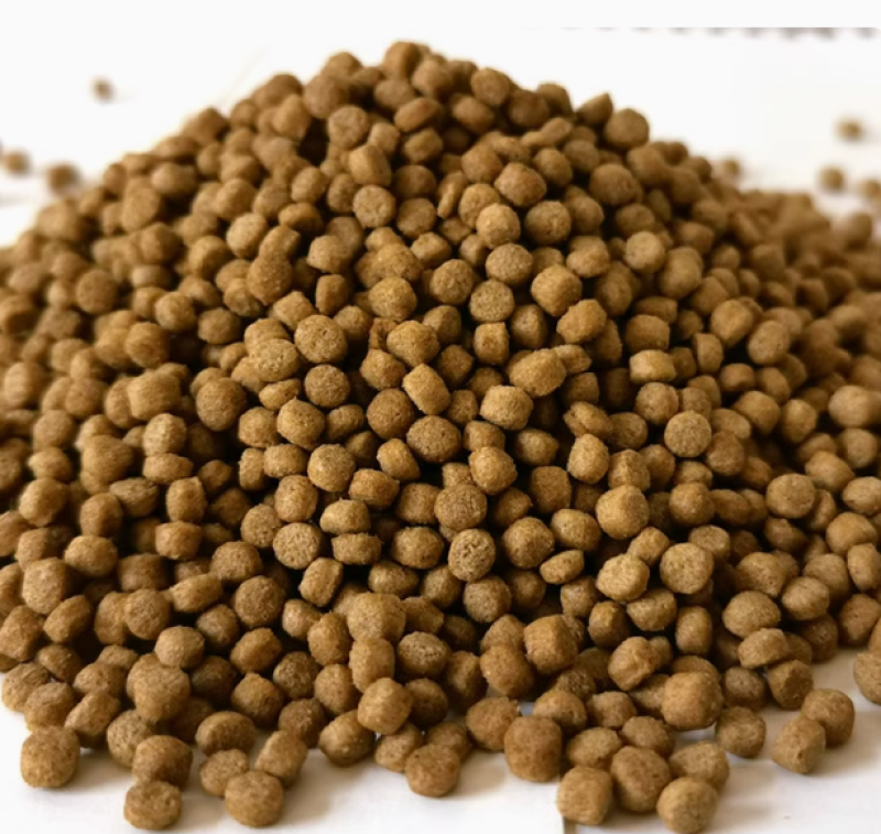 锦鲤增色增体高蛋白饲料