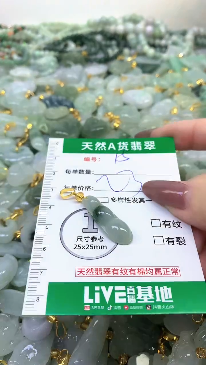 颈饰未镶嵌翡翠纯天然缅甸A货翡翠