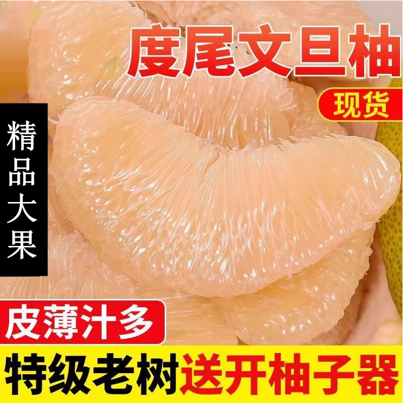 福建莆田度尾文旦柚白心蜜柚柚子新鲜应季水果正宗度尾老树文旦柚