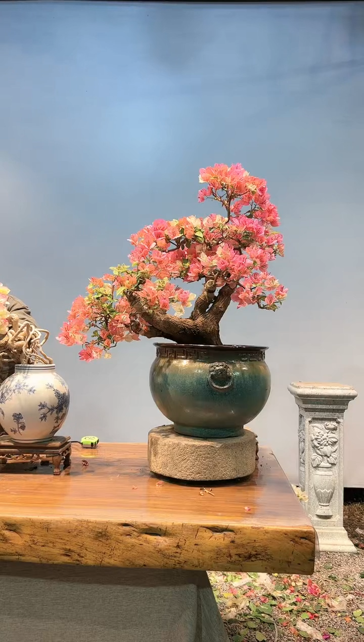 【闪购商品】aa930