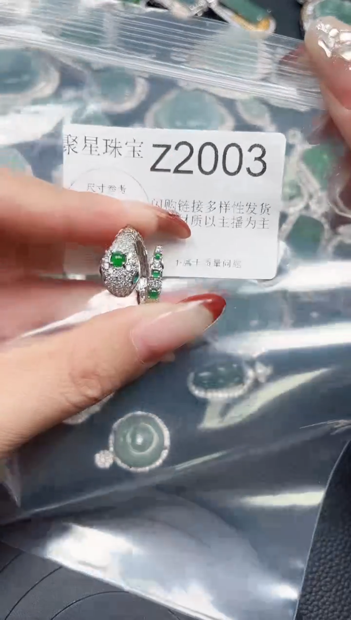 【闪购商品】翡翠颈饰未镶嵌赠皮绳2003