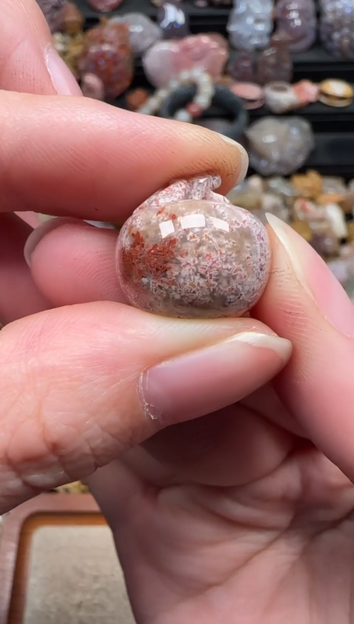 颈饰未镶嵌硅化珊瑚（珊瑚玉）212