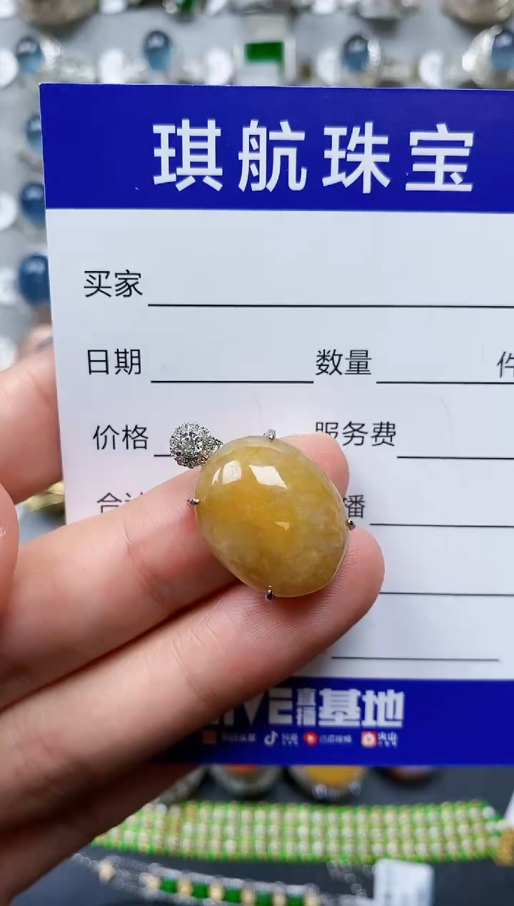 【闪购商品】翡翠颈饰银S925镶嵌0139