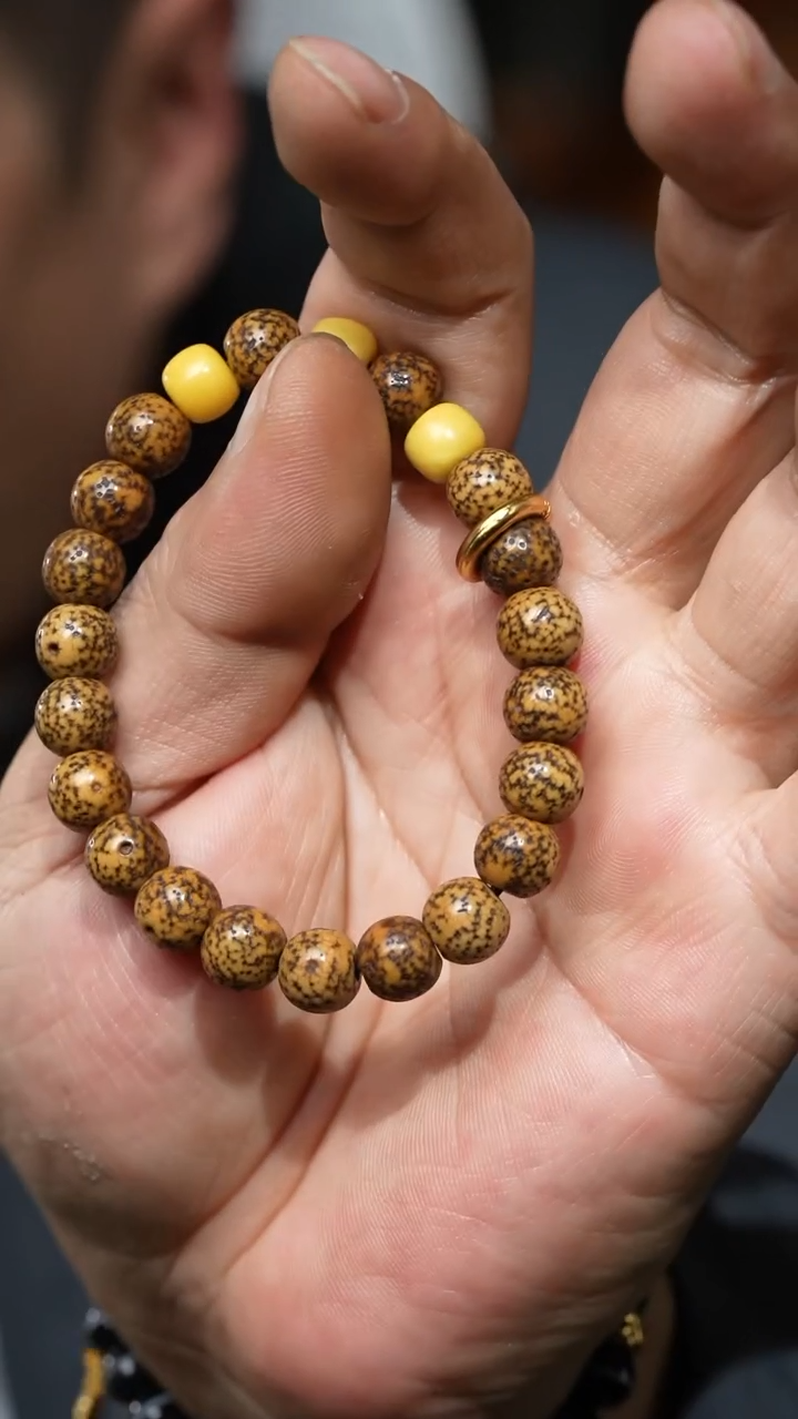 【闪购商品】老星月（多样性发货，发其一）