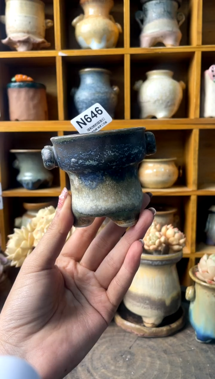 646内口6【多肉花盆多肉盆】