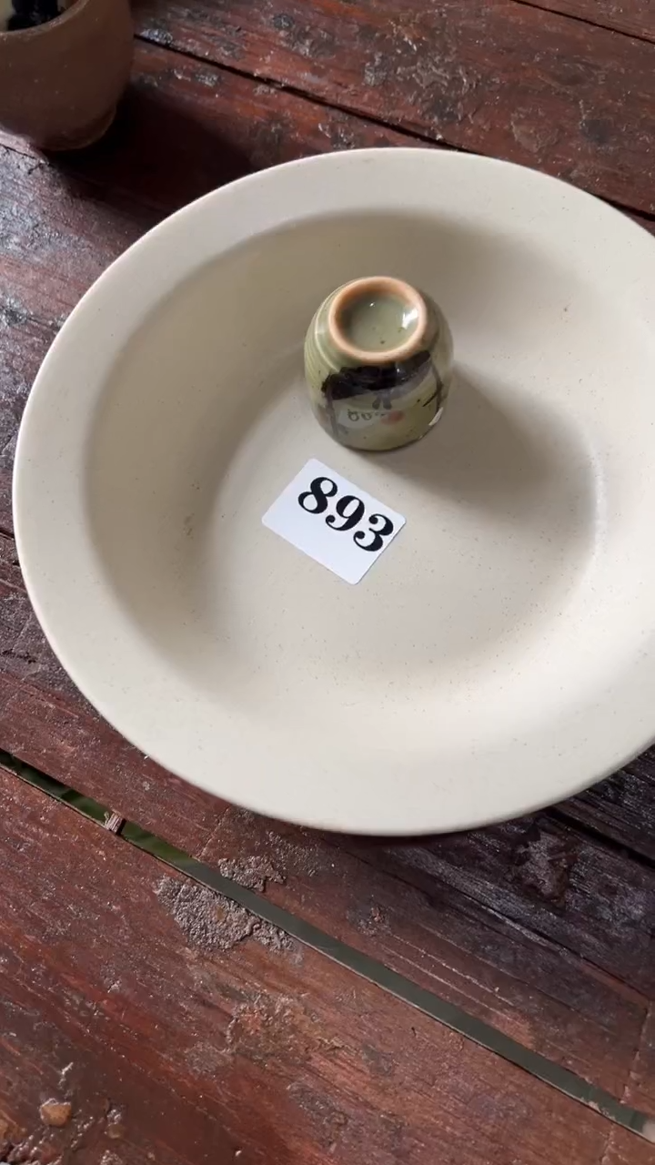 菠*头菠萝头  8+4  瓷器销量榜第二名 满20包邮