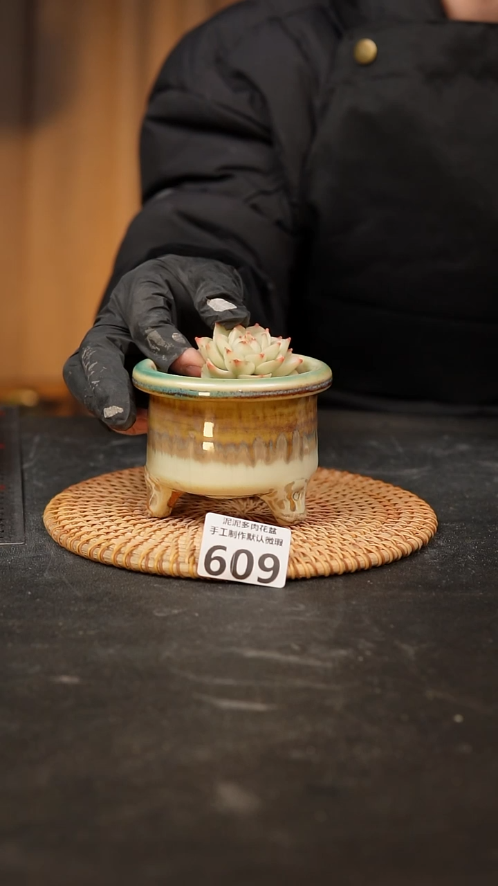 【闪购商品】瓷片609泥泥手工花盆口7-8高7-8