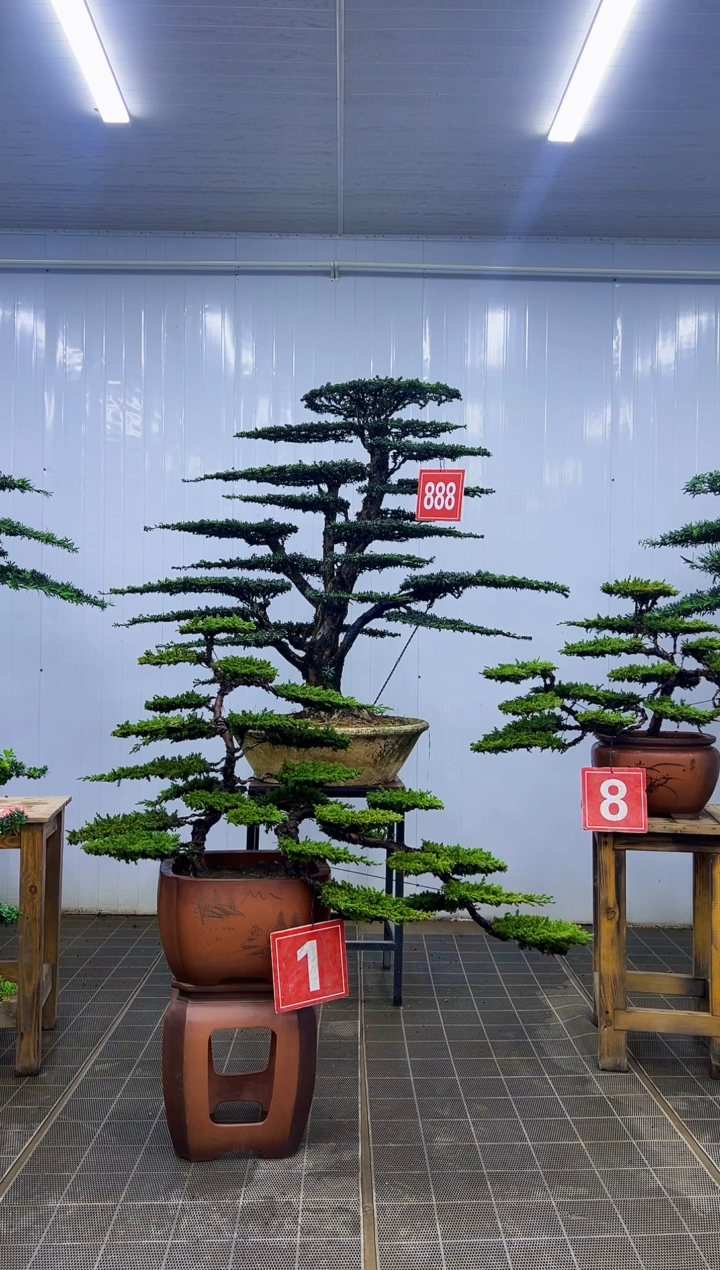 无***癫00000000000000000000000