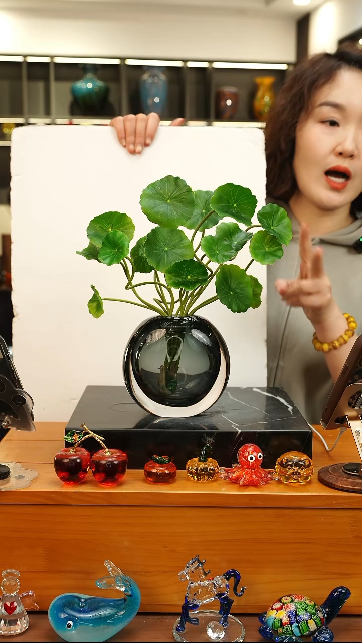 外贸花瓶花器花盆168  f617+铜钱草