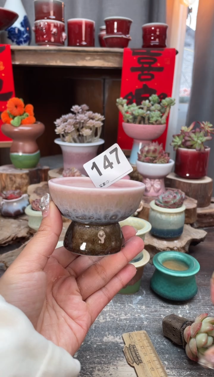 【闪购商品】摆件147知木小芳花盆