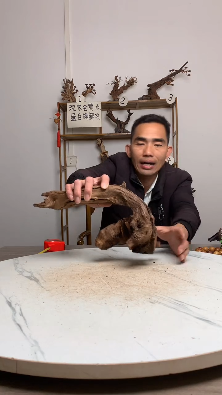 醉*鱼缸造景沉木摆件