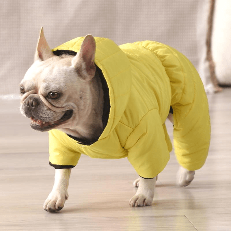 法斗专用狗狗衣服秋冬款羽绒服巴哥斗牛犬四脚衣冬季保暖冬天棉衣