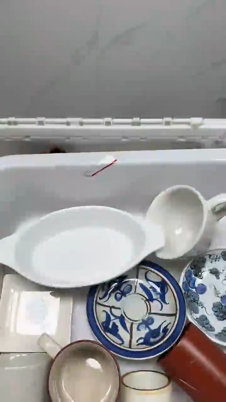 【闪购商品】2979回流瓷器默认微瑕，18.8包邮
