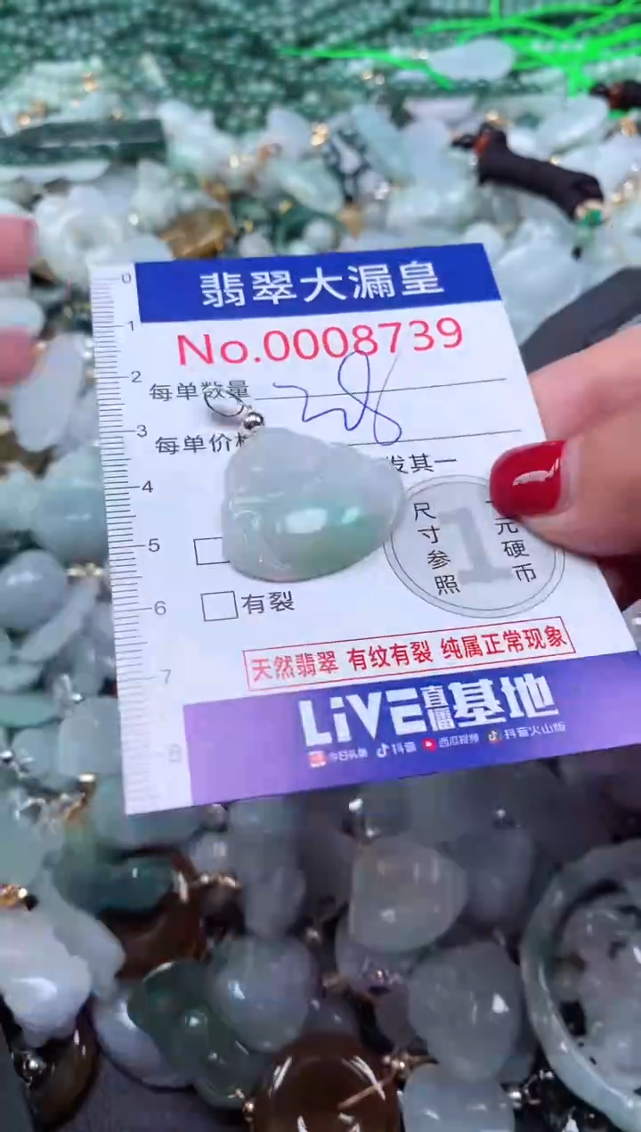 颈饰未镶嵌翡翠8739