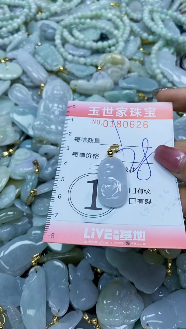 【闪购商品】翡翠颈饰未镶嵌闪购0180626