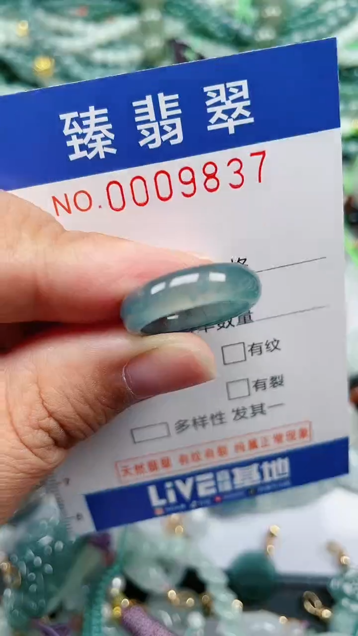 颈饰未镶嵌翡翠.0009837