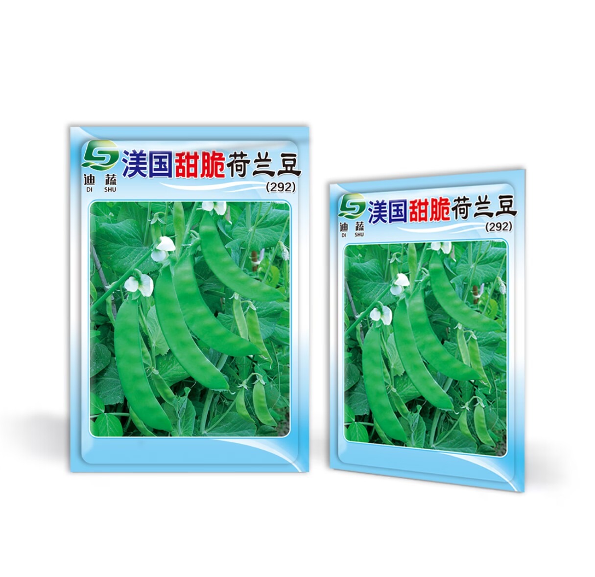 渼国甜脆荷兰豆种子软荚子四季可播大荚菜豆豌豆豆角农家蔬菜种籽