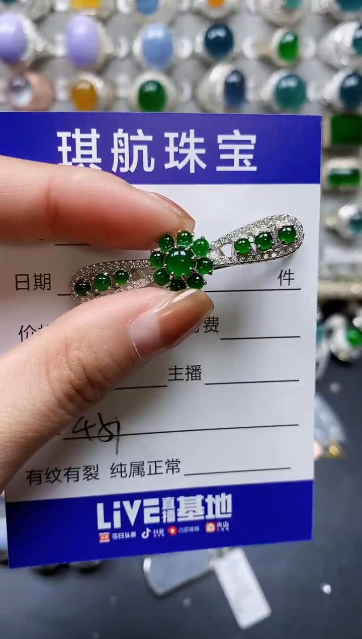 【闪购商品】翡翠颈饰银S925镶嵌0451