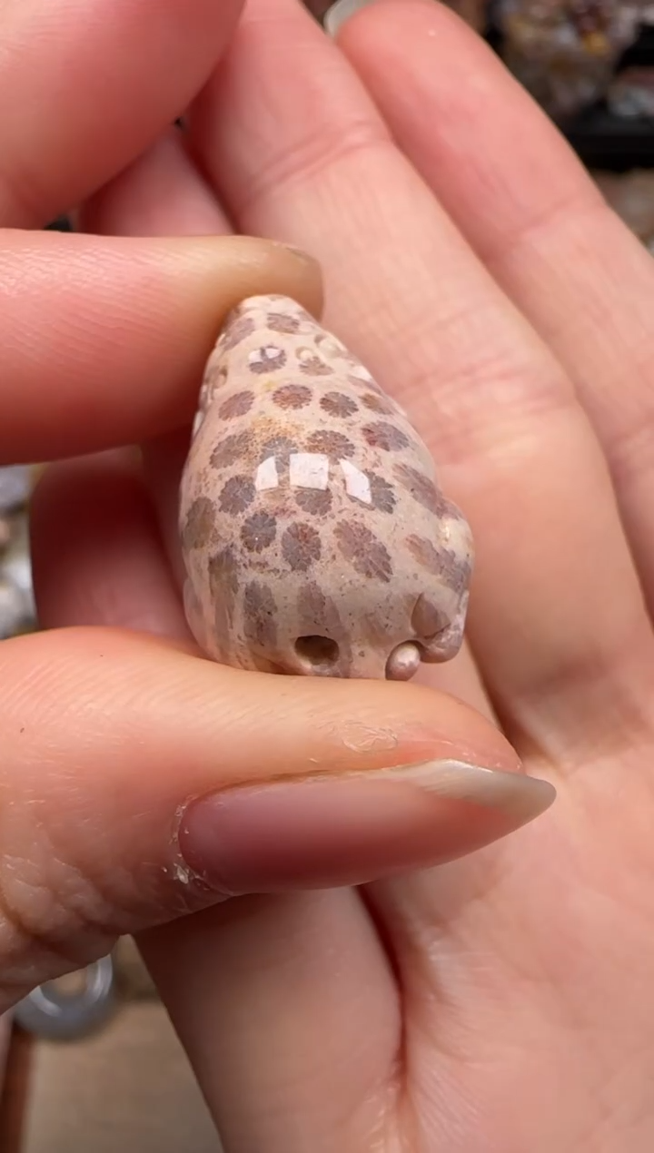 硅化珊瑚（珊瑚玉）未镶嵌颈饰701