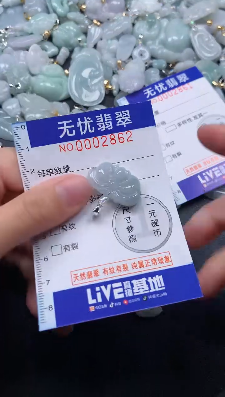 颈饰未镶嵌翡翠2862