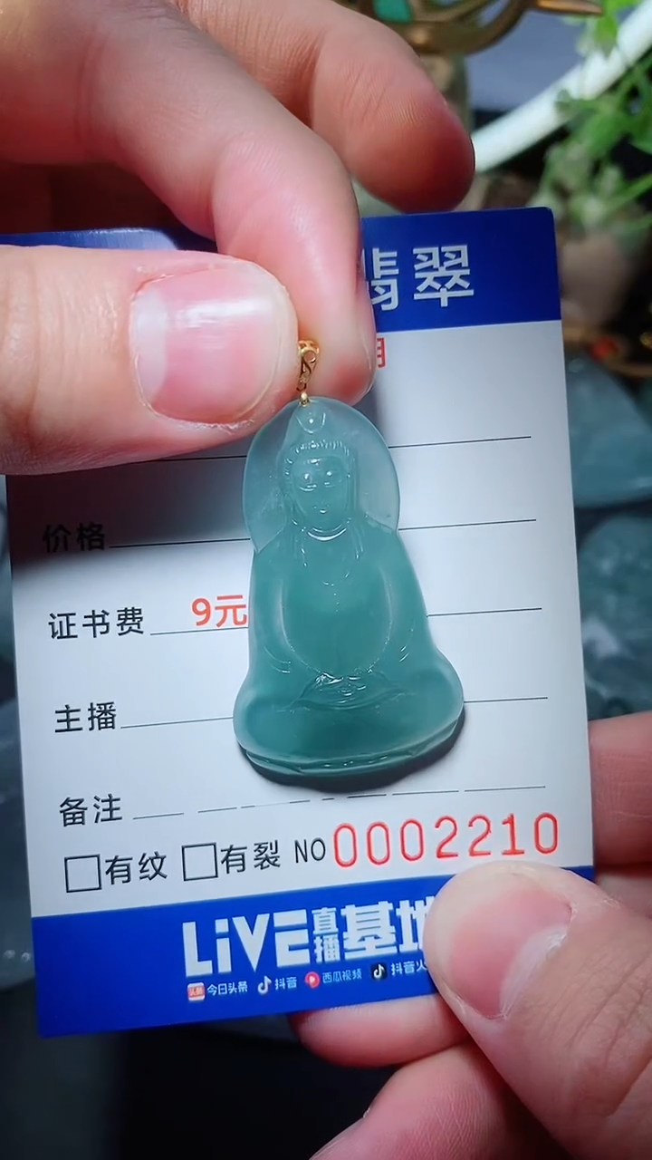 【闪购商品】翡翠颈饰未镶嵌天然A货翡翠一件