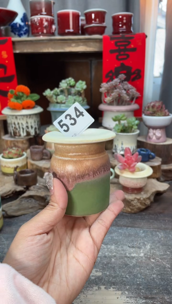 【闪购商品】摆件534知木小芳花盆