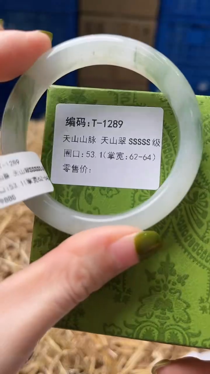 未镶嵌手镯石英质玉T1289