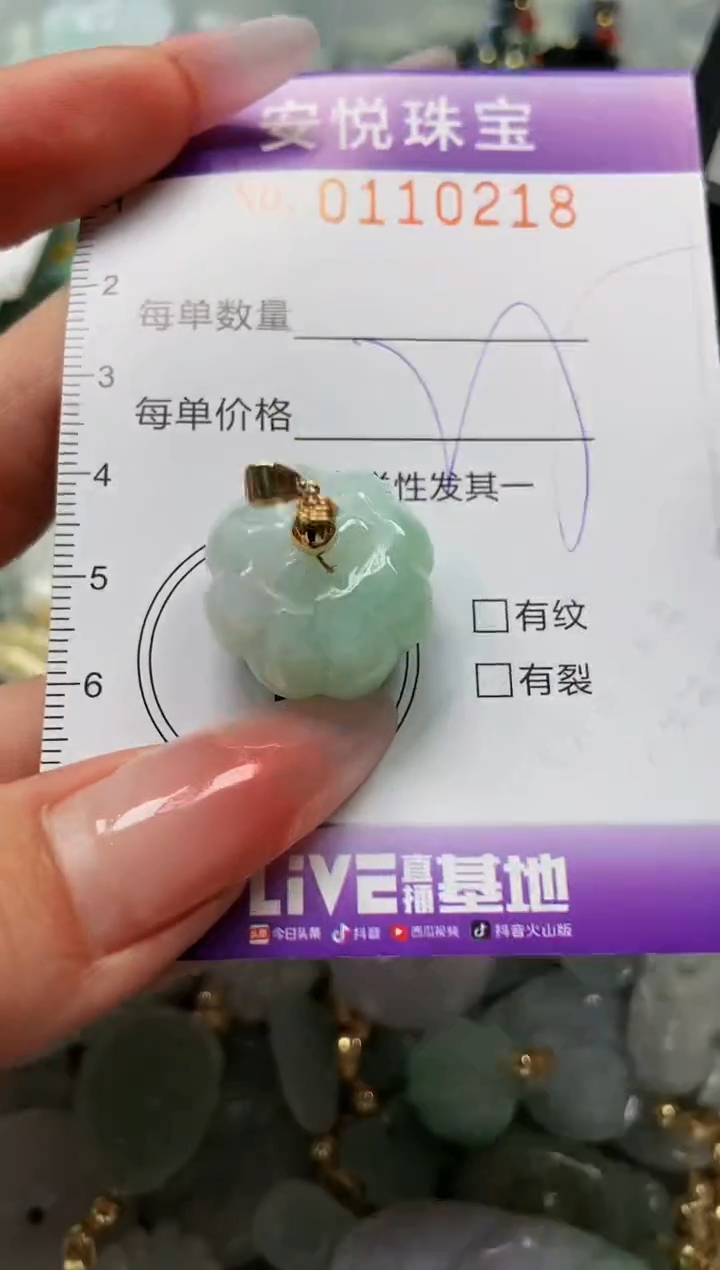 【闪购商品】翡翠颈饰未镶嵌闪购0110218