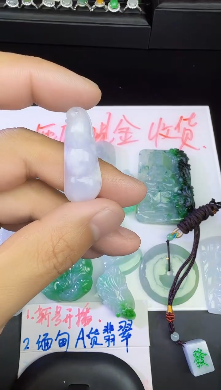 【闪购商品】翡翠颈饰未镶嵌豆子