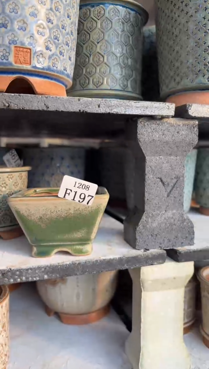 口径花盆-12-08-197特