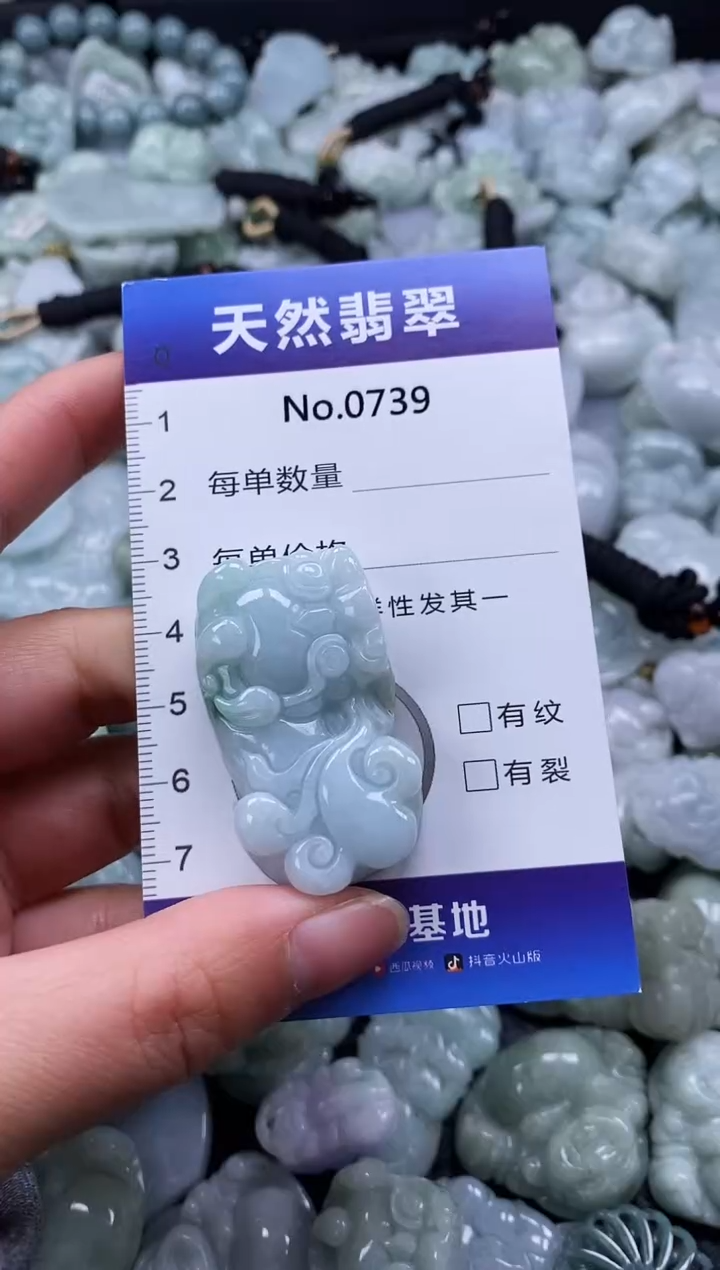 【闪购商品】翡翠颈饰未镶嵌缅甸A货翡翠0739