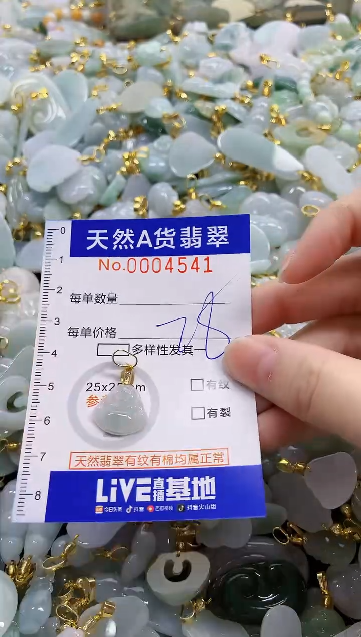 颈饰未镶嵌翡翠天然A货翡翠