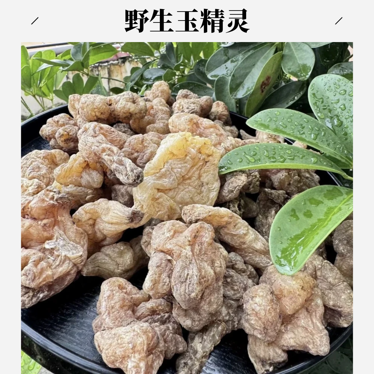 精选山货 【玉精灵】 500g  星空专属