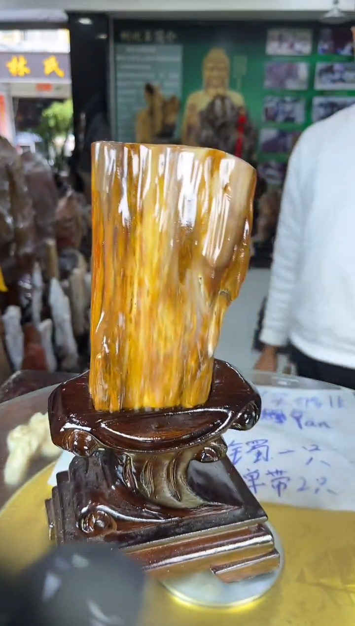 未镶嵌珠宝奇石硅化玉缅甸天然树化玉精品居家摆件