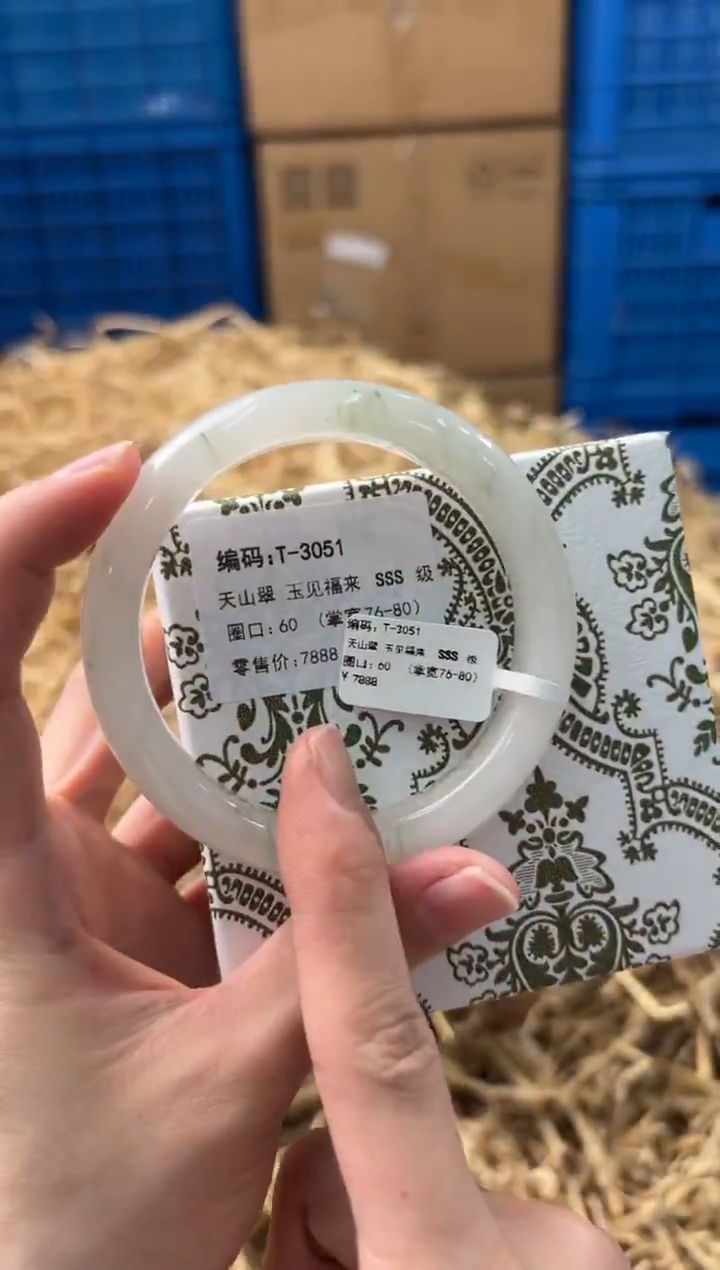 未镶嵌手镯石英质玉T-3051