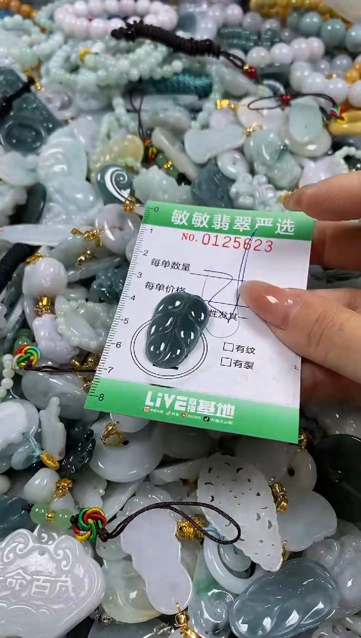 【闪购商品】翡翠颈饰未镶嵌闪购0125623