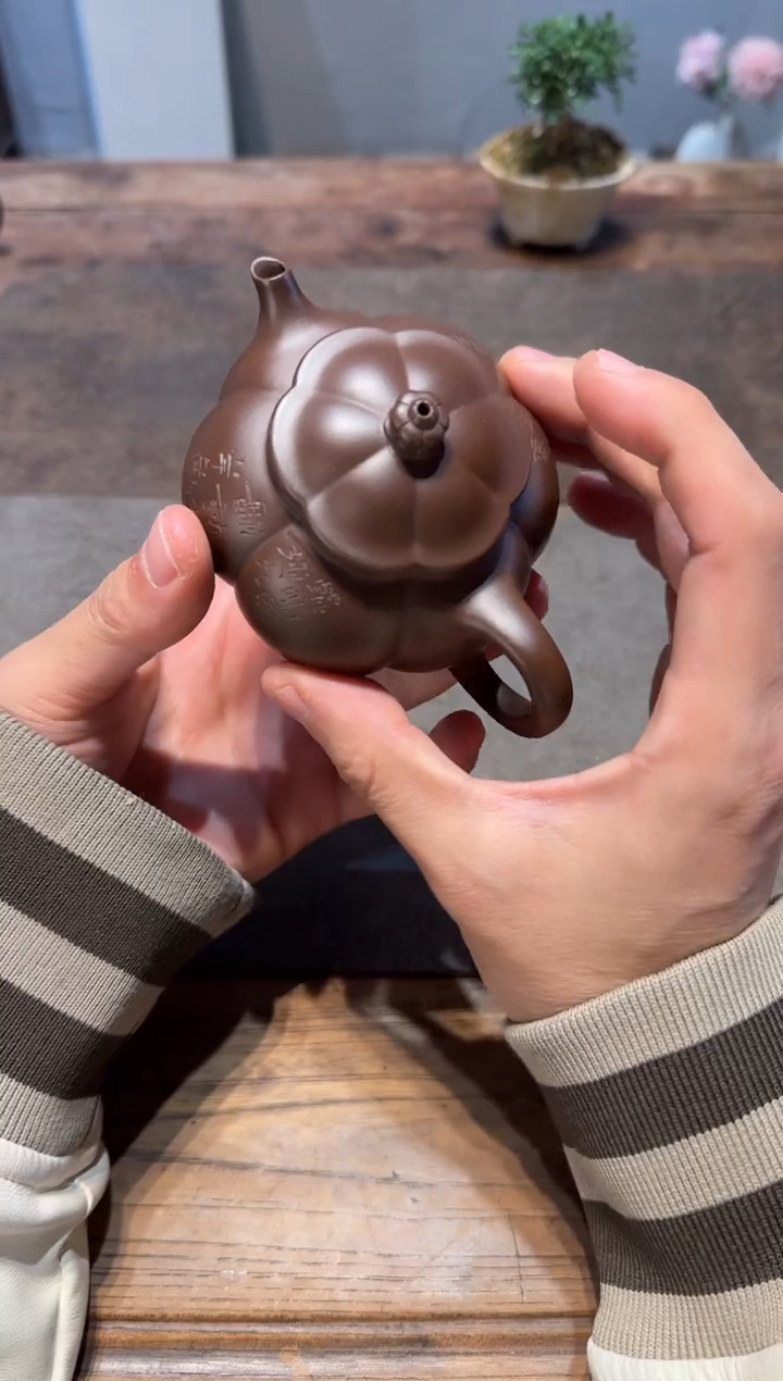 茶壶紫砂活*呢大鱼海棠