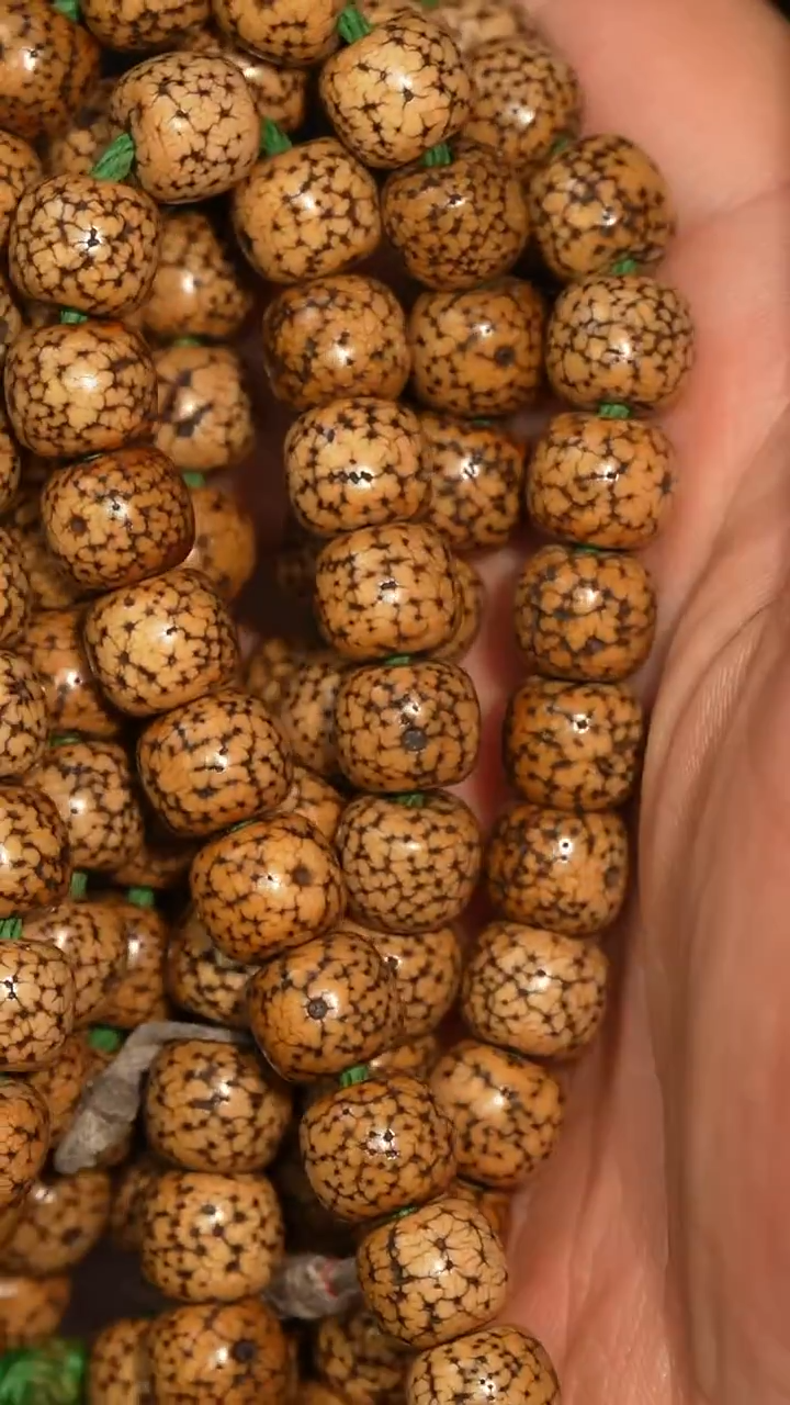 冲赛康胡子哥，藏传念珠181