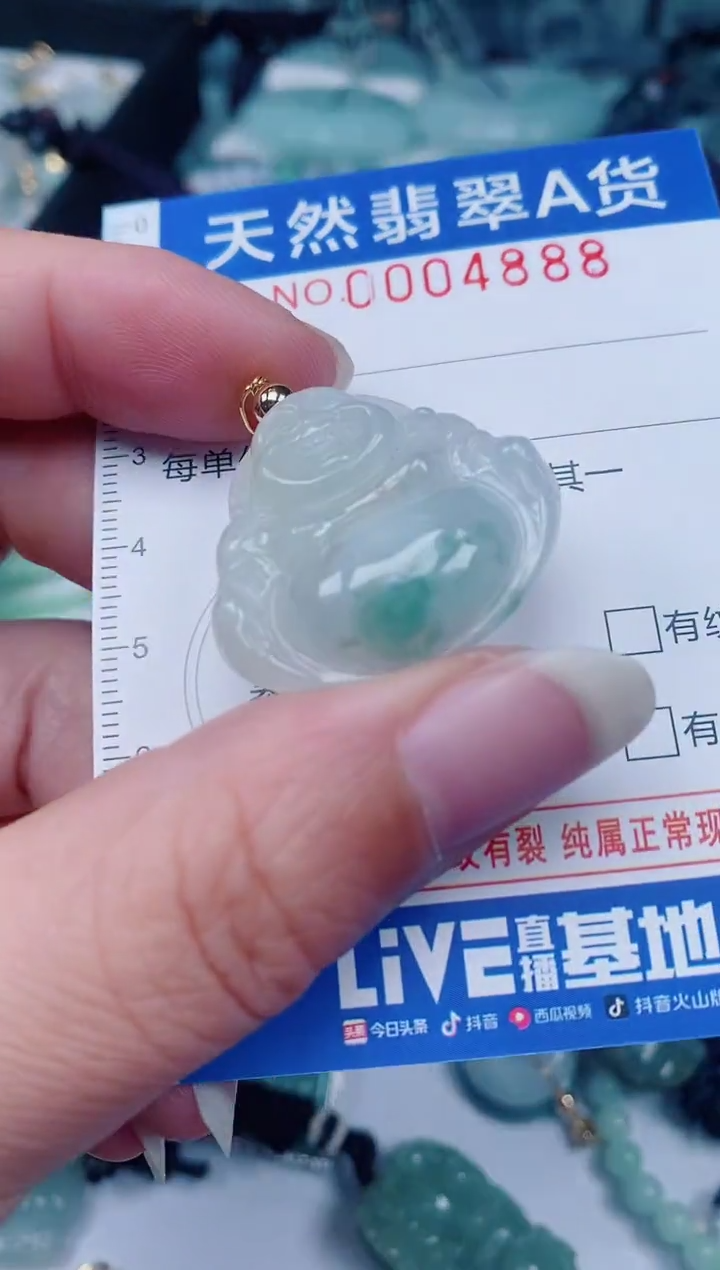 颈饰未镶嵌翡翠00004888